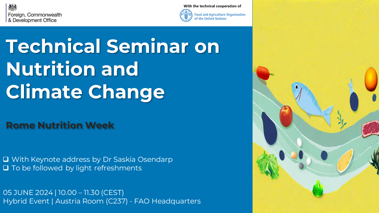 RNW: Technical Seminar on Nutrition and Climate Change | UN‑Nutrition ...