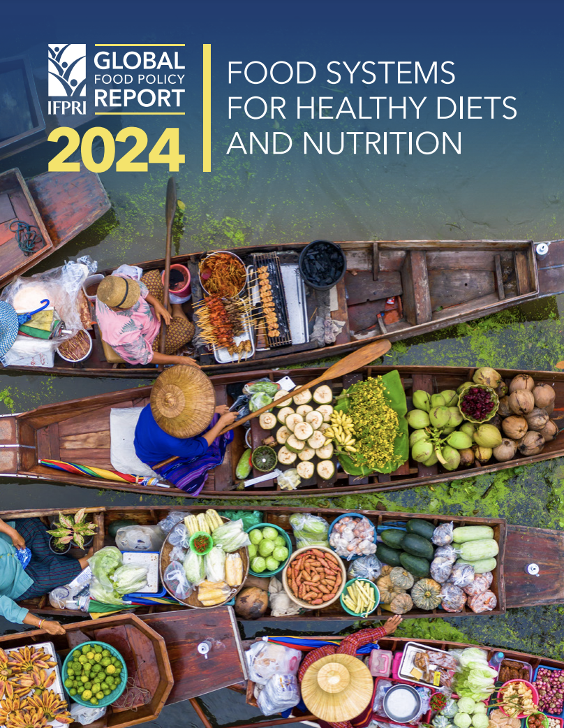 Global food policy report 2024: Food systems for healthy diets and ...