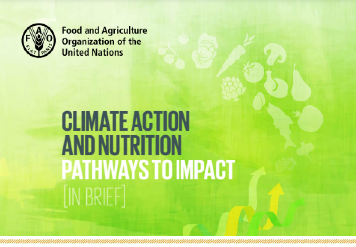 FAO-Climate Action & Nutrition-cover (2023)