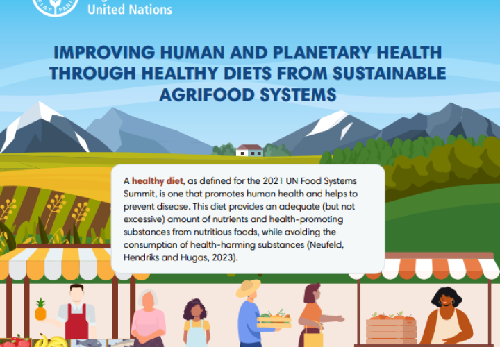 FAO-Improving human & planetary health-HDSFS-cover