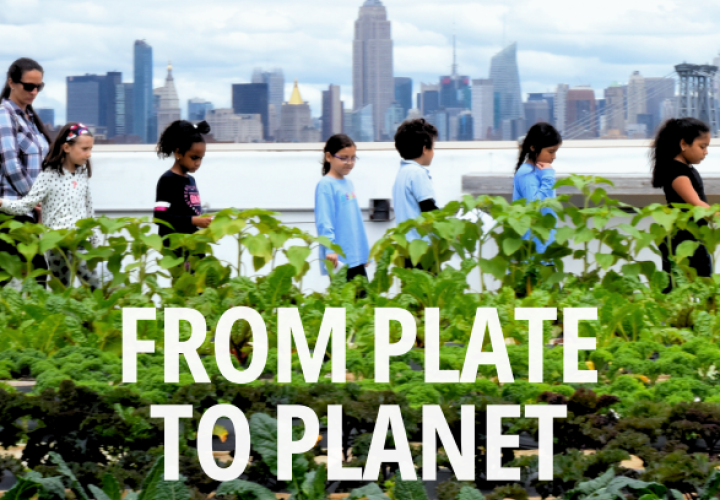 IPES-From Plate 2 Planet-cover