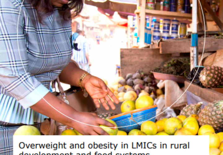 Addressing overweight-obesity in LMICs-Country mapping-cover (2023)