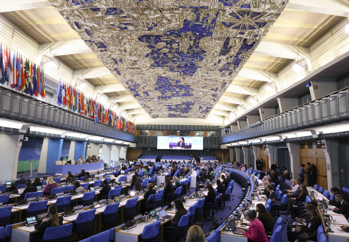 CFS51 Plenary