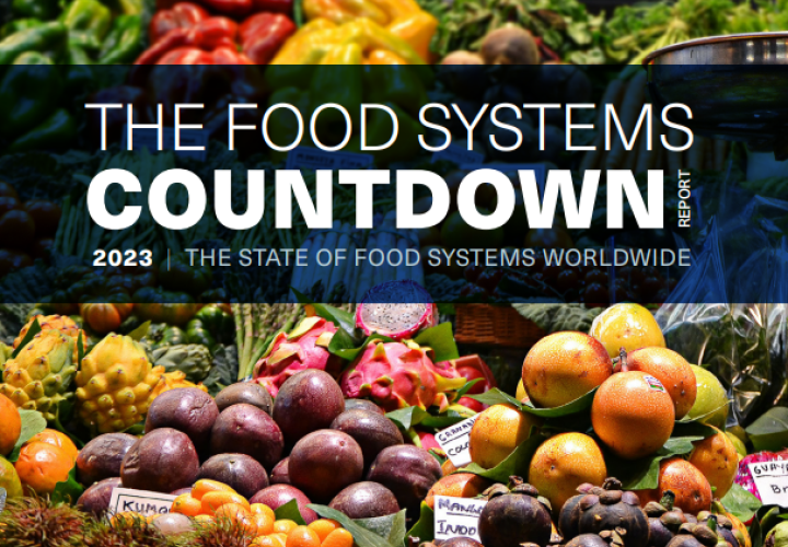 FAO-FS countdown report 2023-cover