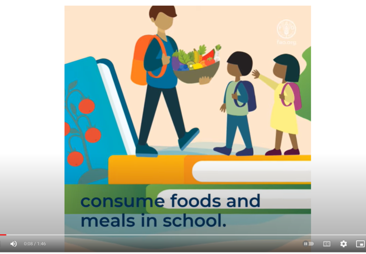 FAO-Nutr Stds-Schools-video image (2022)