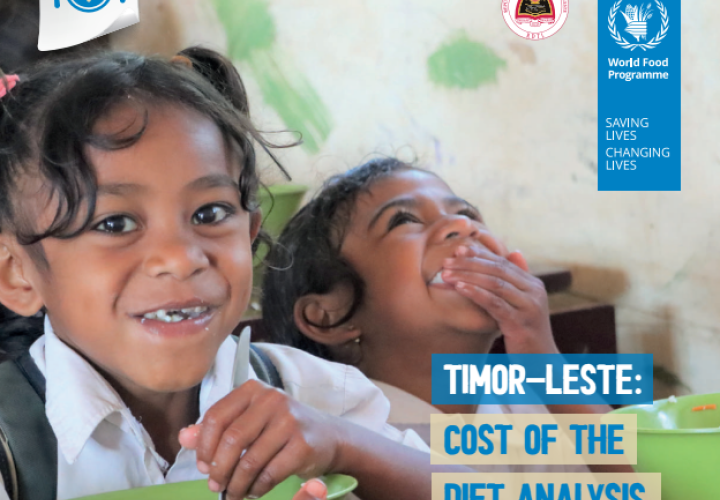 WFP-Timor-Leste FNG-2023-cover