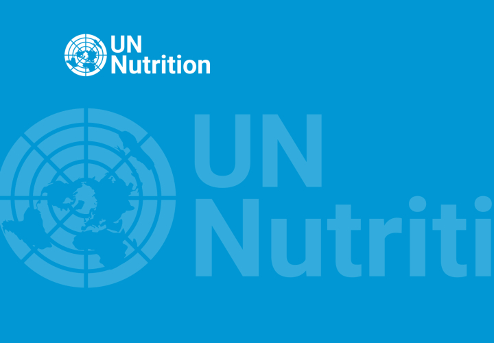 UN-Nutrition background image