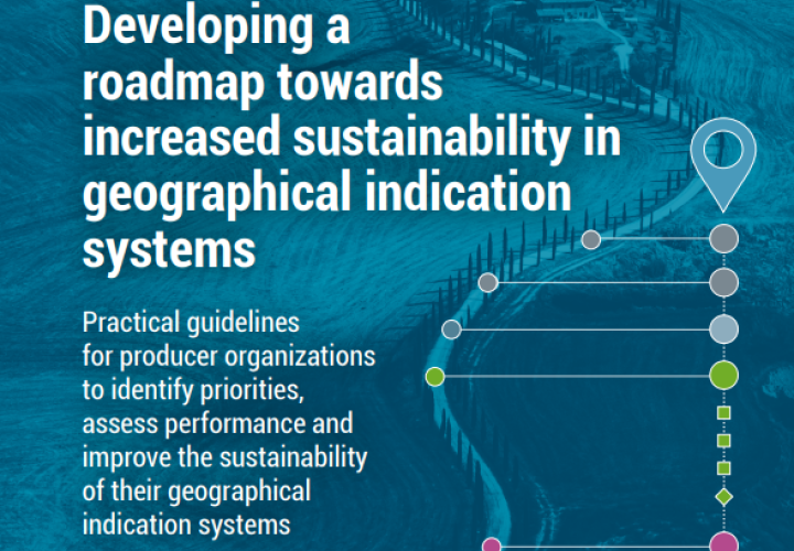 FAO-Roadmap-Sustainability GIS-cover (Apr2024)