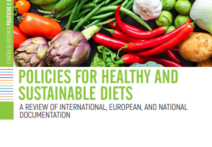 CREA-Policies for Healthy and Sustainable Diets-cover 