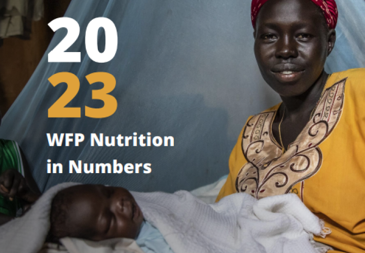 WFP Nutrition in Numbers-2023-cover