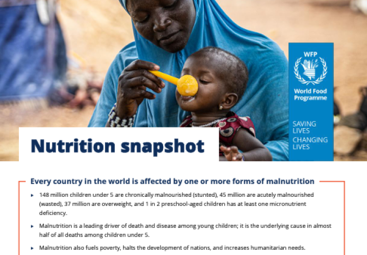 WFP_2024 Nutr Snapshot-cover