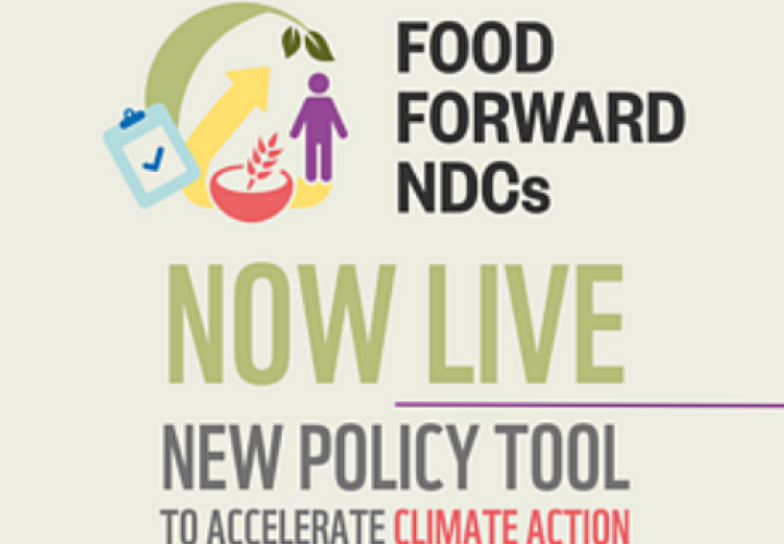 Food Forward NDCs image (5Aug2024)