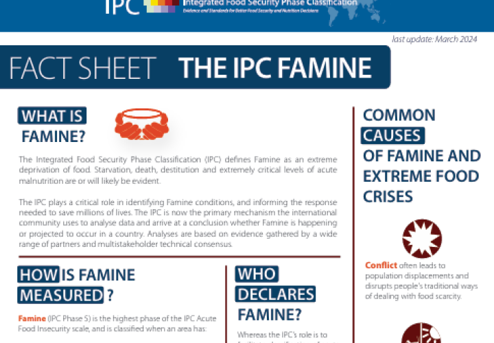 IPC-Famine Fact Sheet-image (Aug2024)