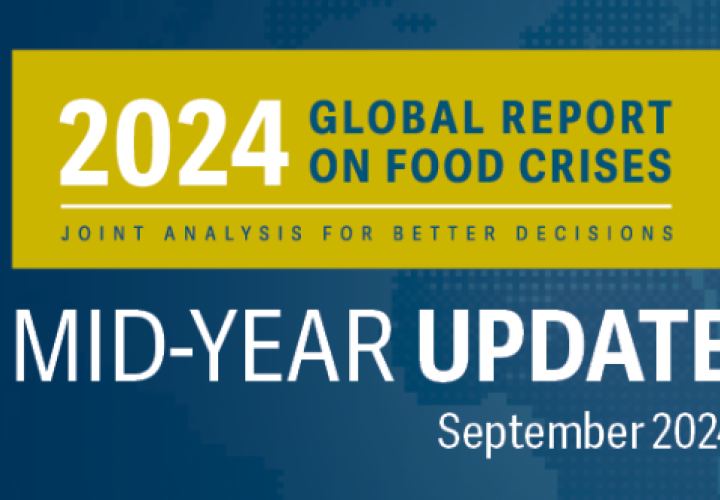 Global Report Food Crises-Mid Yr Update-image(2024)