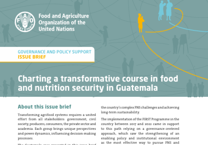 FAO-Charting FSN Transformation-Guatemala brief-cover (29Oct2024)