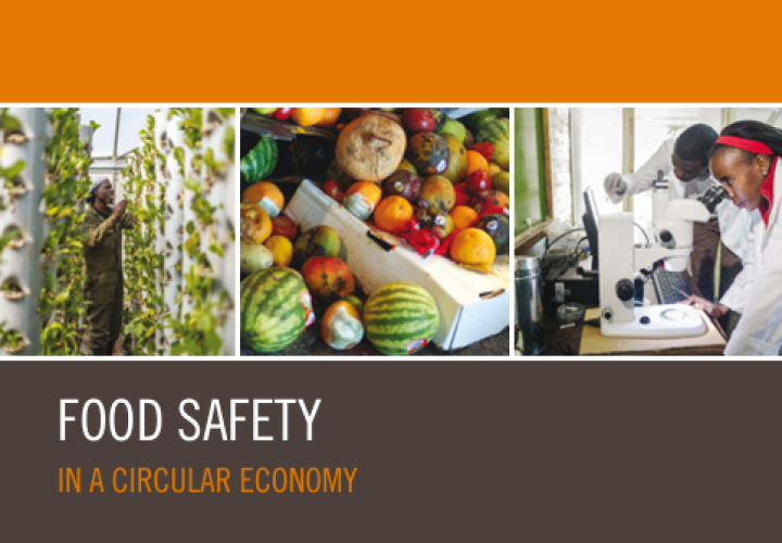 FAO_Food Safety-Circular Economy-cover (Oct2024)