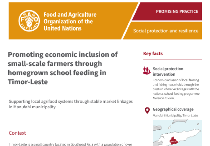 FAO-HGSF Timor-Leste-cover (Sep2024)