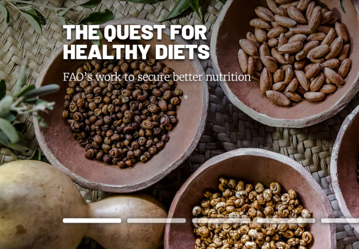 FAO-Quest 4 Healthy Diets-image (11Oct2024)