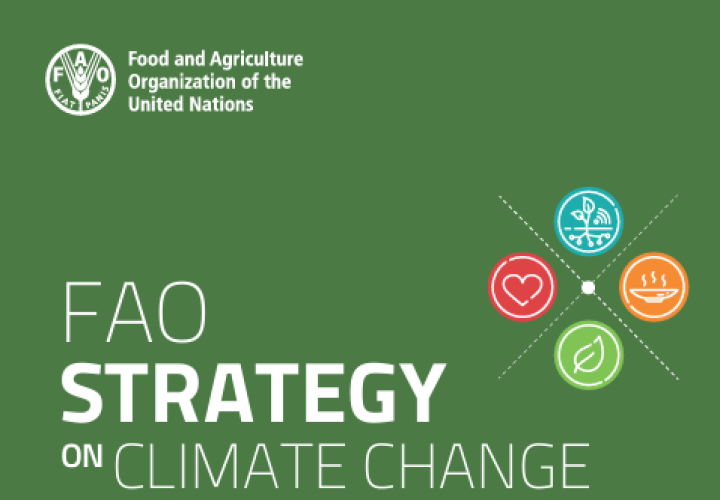 FAO-Climate Change Strategy 2022-2031_cover