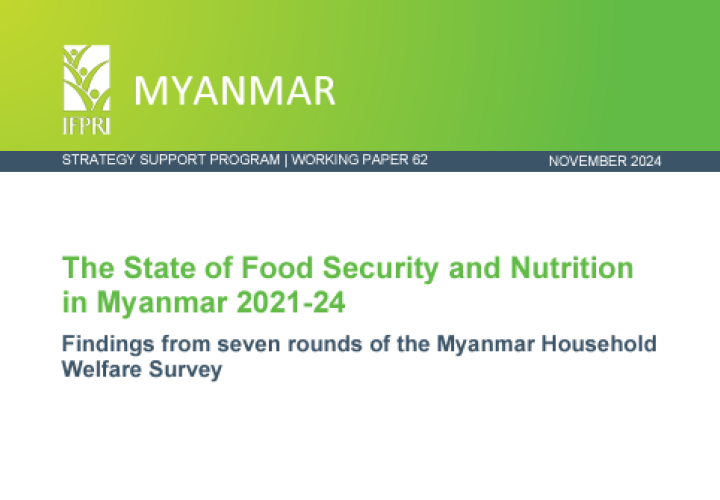 IFPRI-Working Paper-FSN Myanmar-cover (Nov2024)