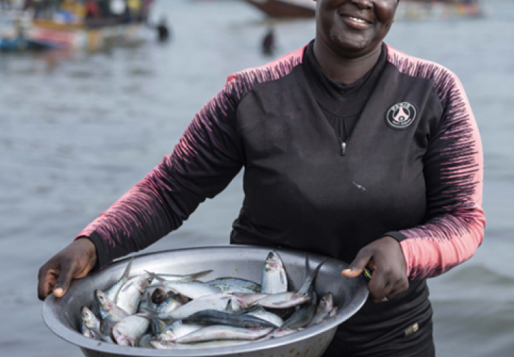 FAO_Investment Case-Fish Dyring-Malawi-civer (Nov2024)