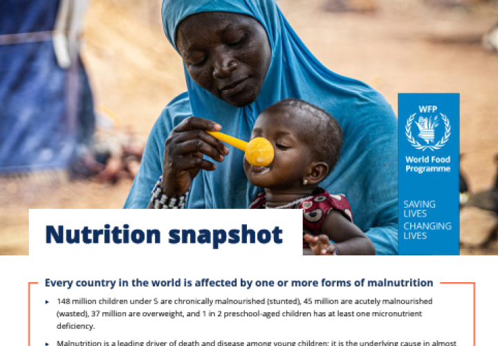 WFP-Nutrition Snapshot (2024)