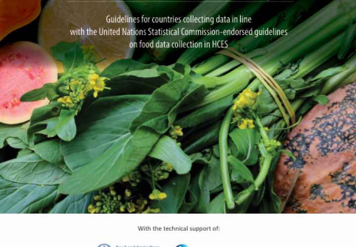 FAO-WB_Food Consumption Data-HCES-cover (Mar2025)