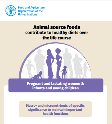 FAO brief-ASFs PLW IYC-cover