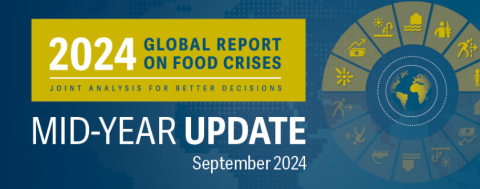 Global Report Food Crises-Mid Yr Update-image(2024)