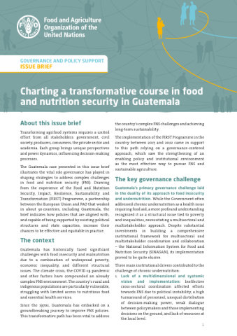 FAO-Charting FSN Transformation-Guatemala brief-cover (29Oct2024)