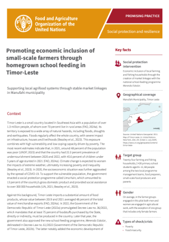 FAO-HGSF Timor-Leste-cover (Sep2024)