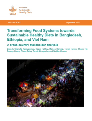 Food Systems towards SHDs Bang ETH VN-cover (Sep2024)