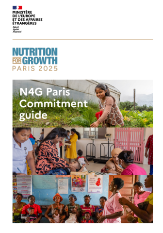 N4G Paris Commitment Guide-cover