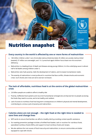 WFP-Nutrition Snapshot (2024)