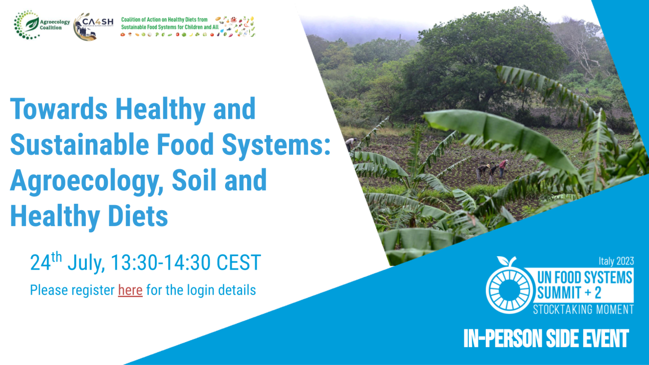 UNFSS+2 side event image-Agroecology (24 July 2023)