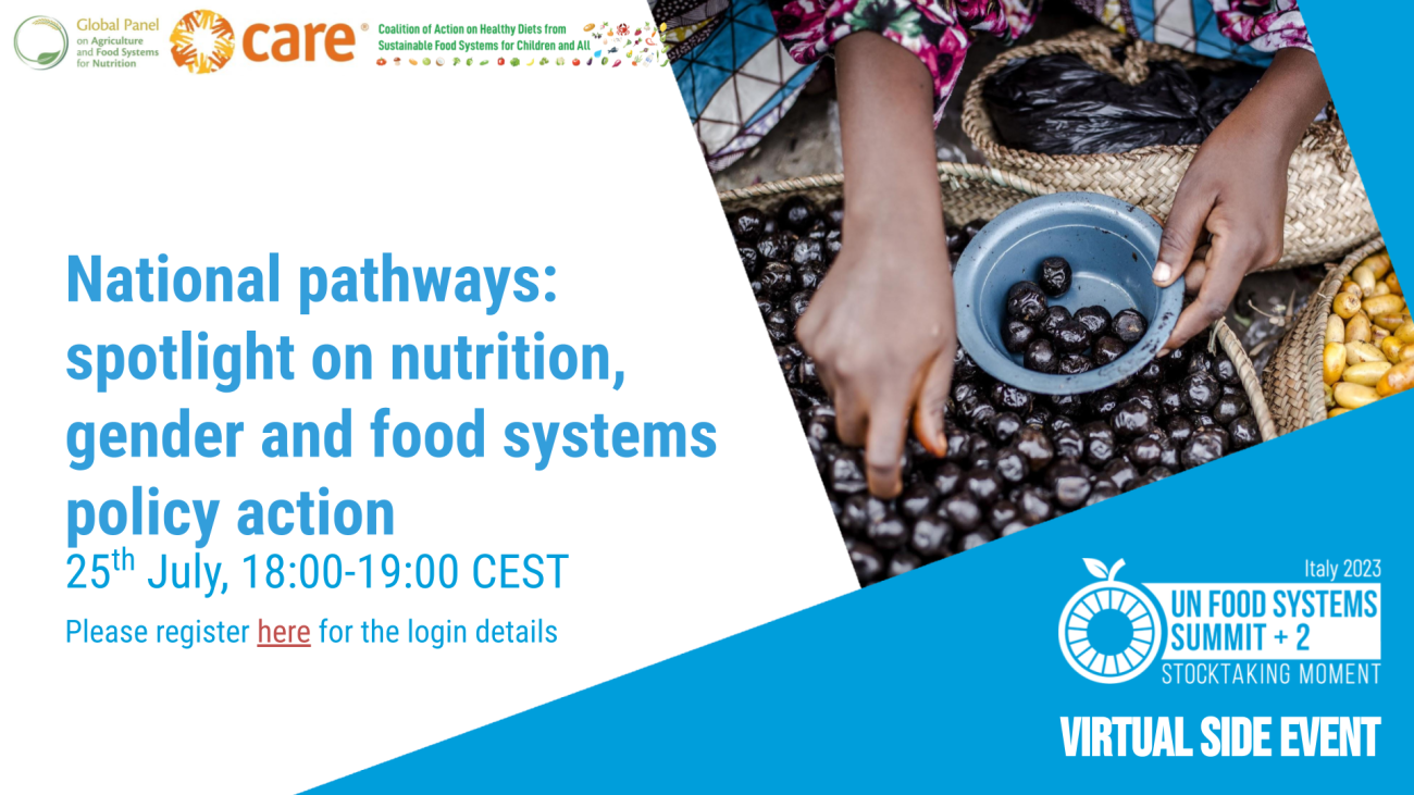 UNFSS+2 Side Event card-National Pathways (25 July 2023)