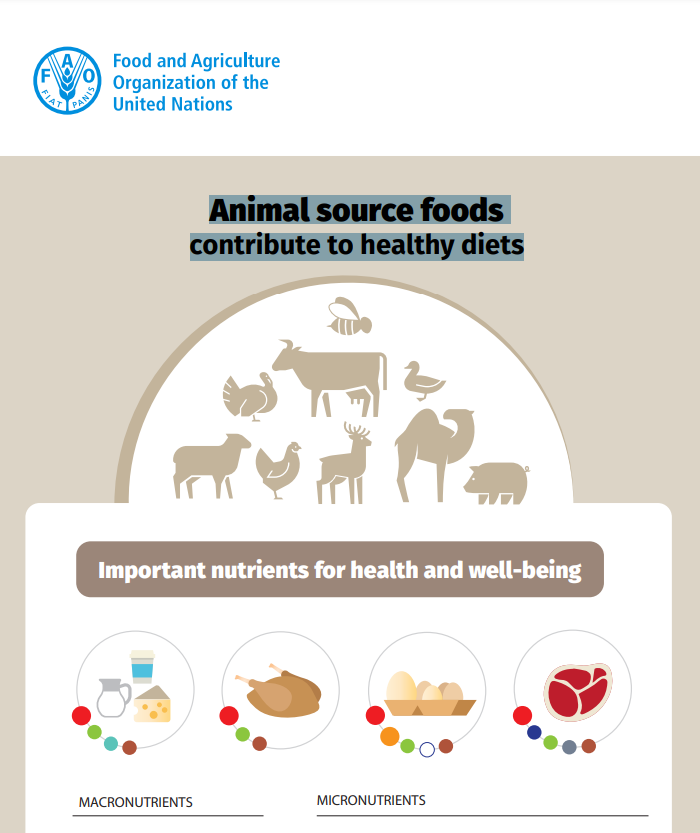 Infographic – Animal source foods contribute to healthy diets | UN ...