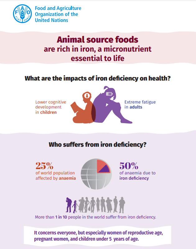 FAO-Animal source foods infographic-image (2023) 