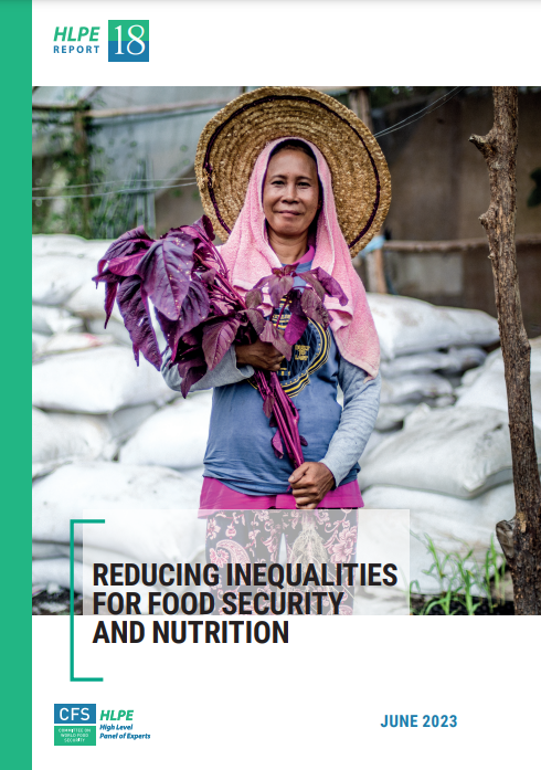 Reducing inequalities for food security and nutrition [HLPE Report no ...