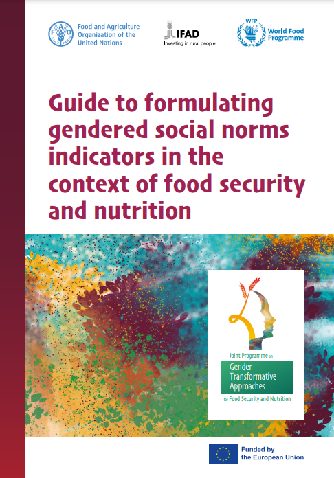 Guide-Gender norms indicators-FSN-cover (2022)