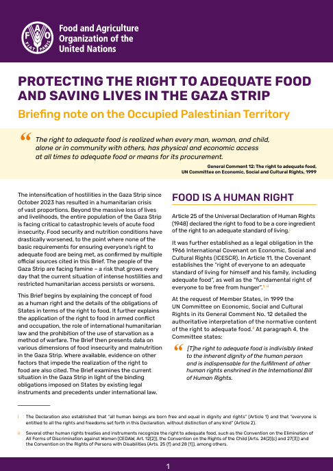 FAO_Protecting RtF-Gaza-Brief-image (Jul2024)