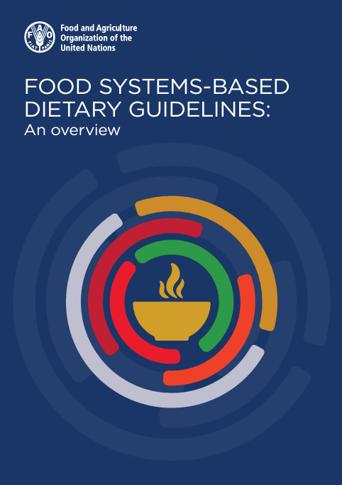 FAO-FSBDGs Overview-cover (Oct2024)