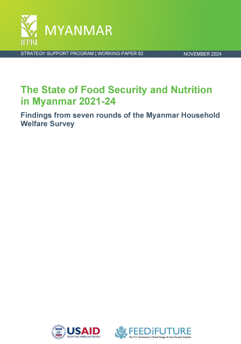 IFPRI-Working Paper-FSN Myanmar-cover (Nov2024)