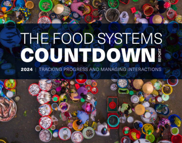 Food Systems Countdown Report-cover (Jan2025)