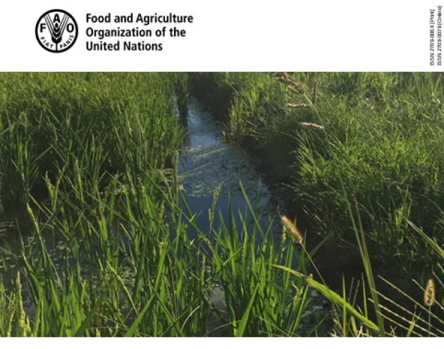 FAO-GHGs Agrifood Systems-cover (Oct2024)