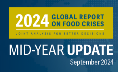 Global Report Food Crises-Mid Yr Update-image(2024)