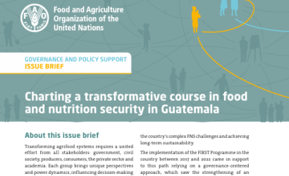 FAO-Charting FSN Transformation-Guatemala brief-cover (29Oct2024)