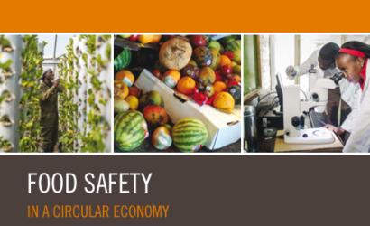 FAO_Food Safety-Circular Economy-cover (Oct2024)