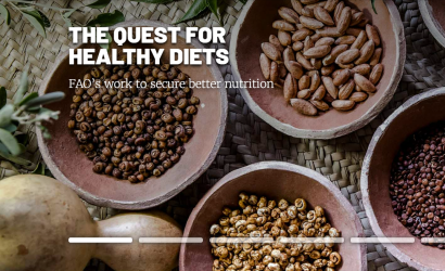 FAO-Quest 4 Healthy Diets-image (11Oct2024)