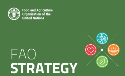 FAO-Climate Change Strategy 2022-2031_cover